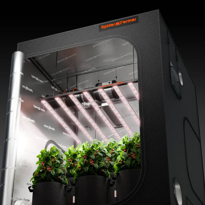 Indoor-Grow-Zelt mit Pflanzen und LED-Leuchten.
