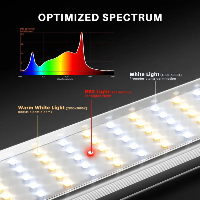 LED-Wachstumslicht mit optimiertem Spektrum.