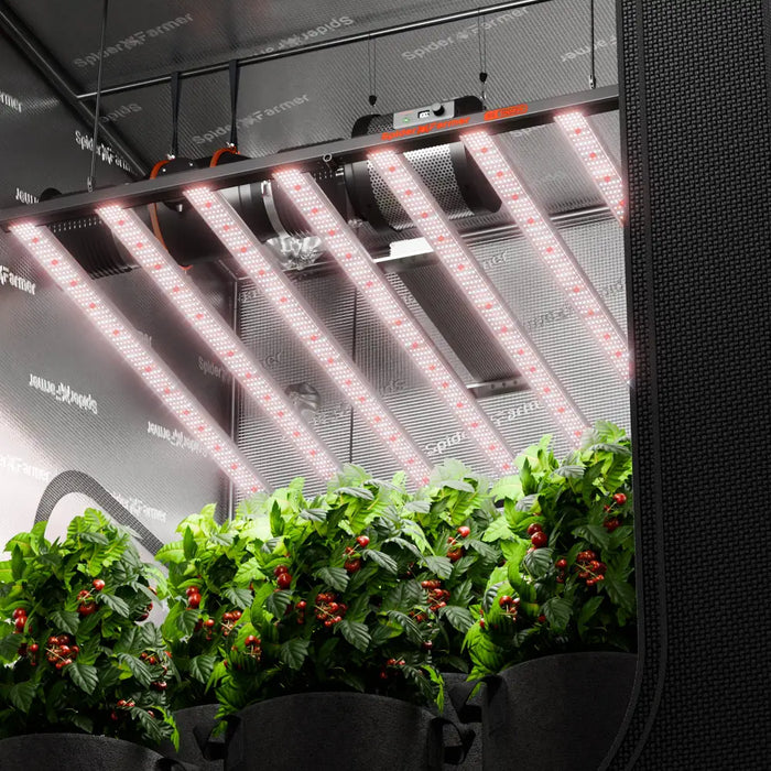 Indoor-Grow-Zelt mit Pflanzen und LED-Leuchten.