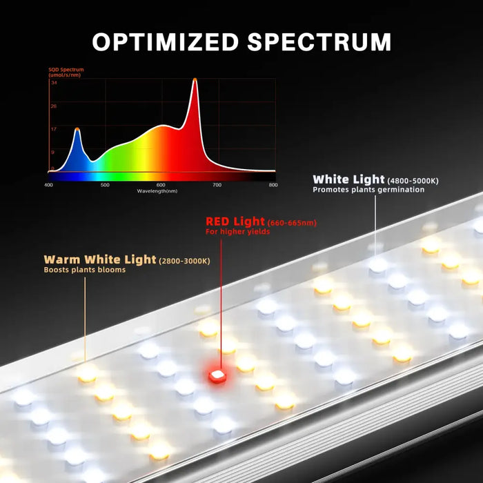 LED-Wachstumslicht mit optimiertem Spektrum.
