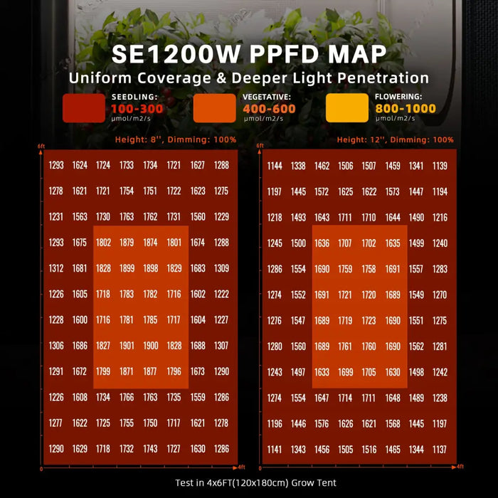 PPFD-Karte für ein LED-Wachstumslicht.