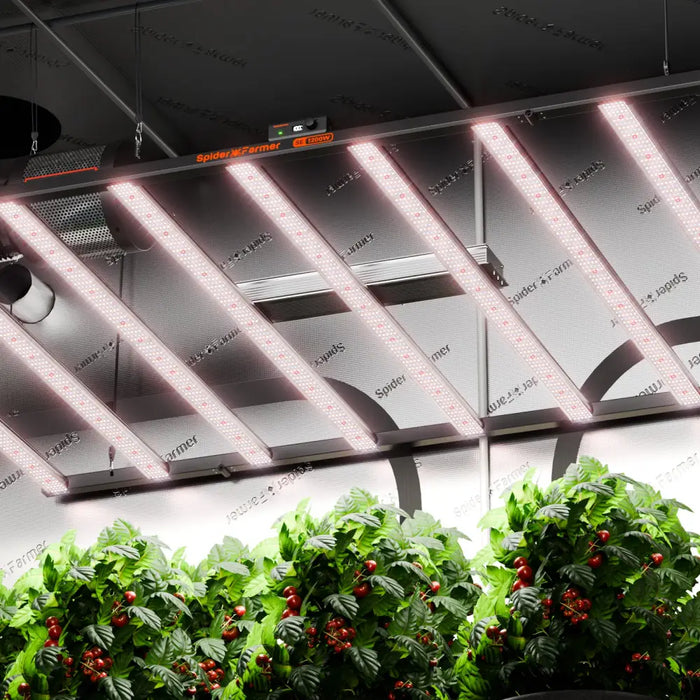 Indoor-Zuchtlampen beleuchten Pflanzen.