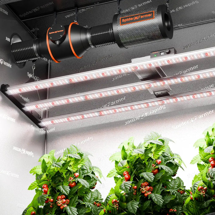 Indoor hydroponischen wachsen Setup.