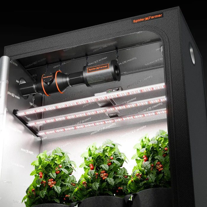 Indoor-Grow-Zelt mit Pflanzen und Beleuchtung.