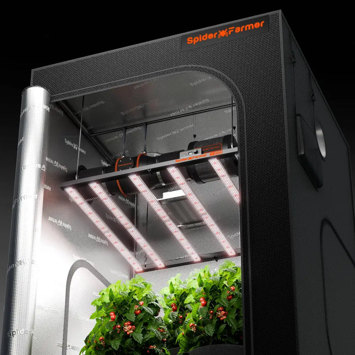 Indoor-Growzelt mit LED-Beleuchtung.