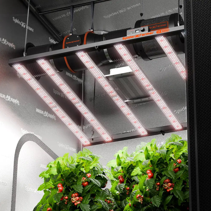 Lichtsystem für Innenanbau.