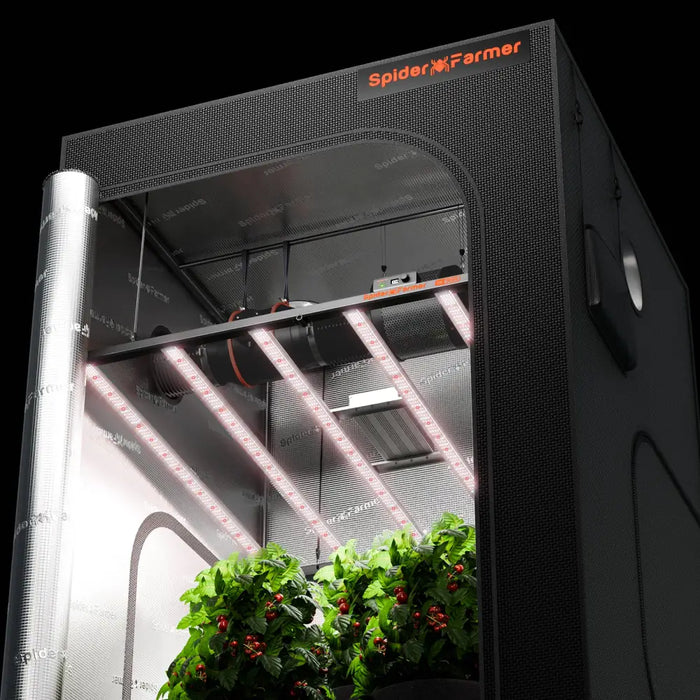 Indoor-Grow-Zelt mit Pflanzen.
