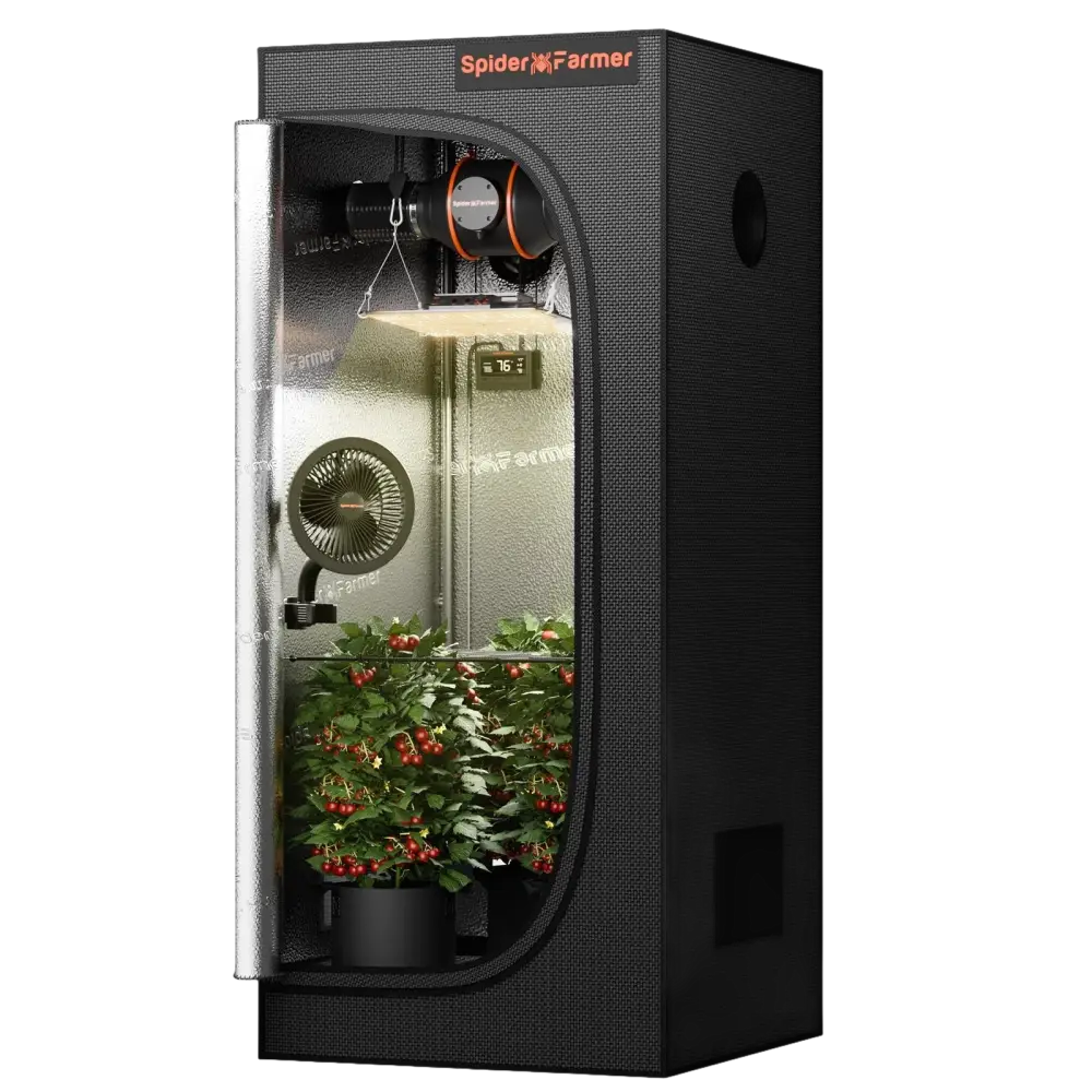 Indoor-Grow-Zelt mit Pflanzen.