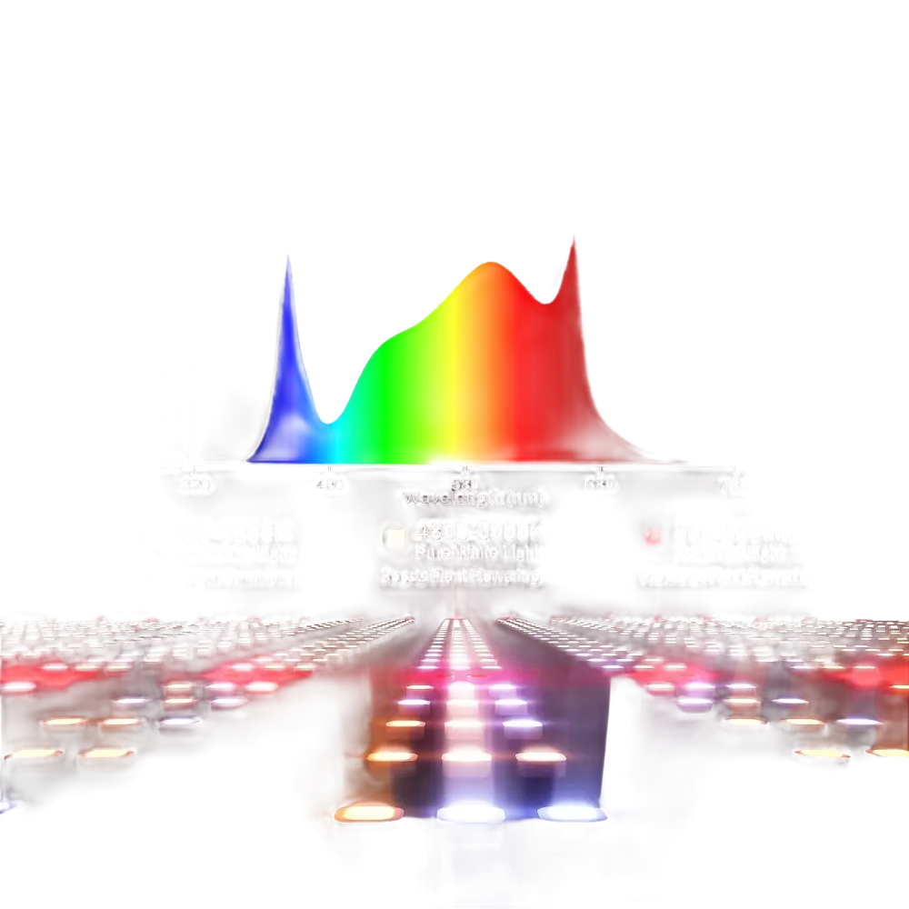 Vollspektrum-Wachstumslicht-Diagramm.