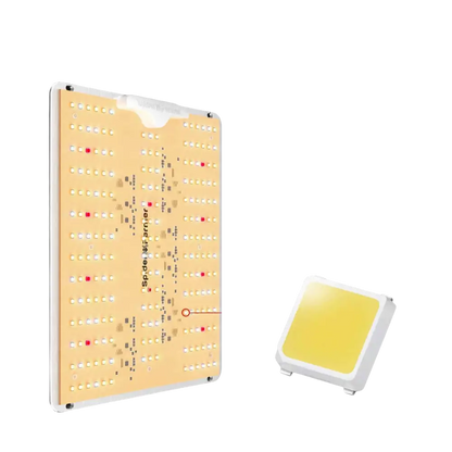 Samsung LM301B Dioden-Wachstumslicht.