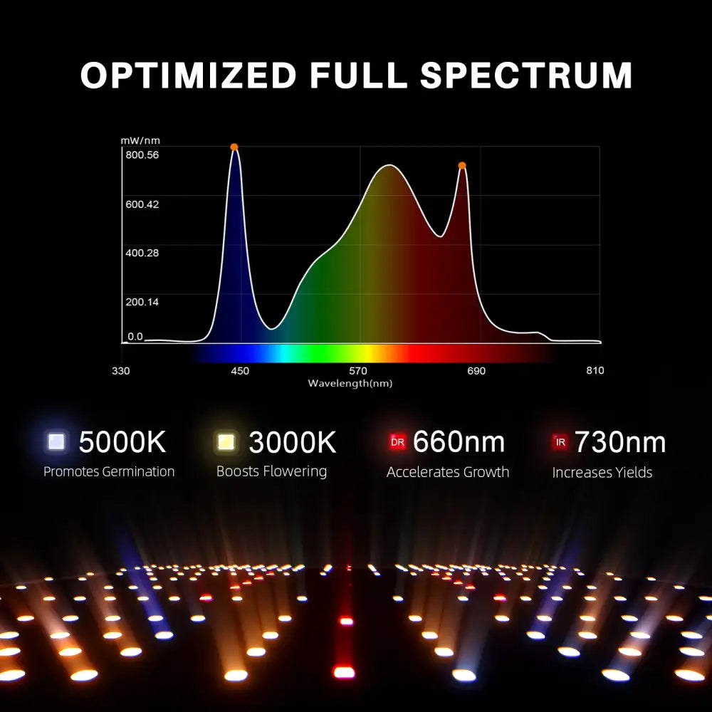 Optimiertes Vollspektrum-Wachstumslichtdiagramm.