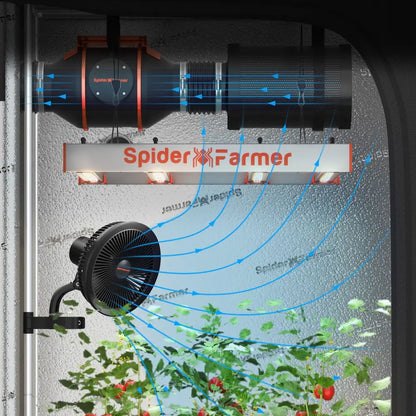 Indoor hydroponischen wachsen Setup.