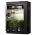 Indoor-Grow-Zelt mit Pflanzen.