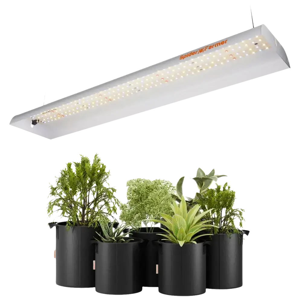 Spider Farmer SF300 LED-Zuchtlampe kaufen über einem grünen Pflanzenarrangement für optimales Wachstum