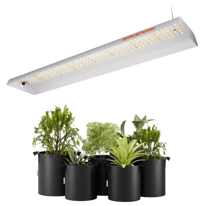 Spider Farmer SF300 LED-Zuchtlampe kaufen über einem grünen Pflanzenarrangement für optimales Wachstum