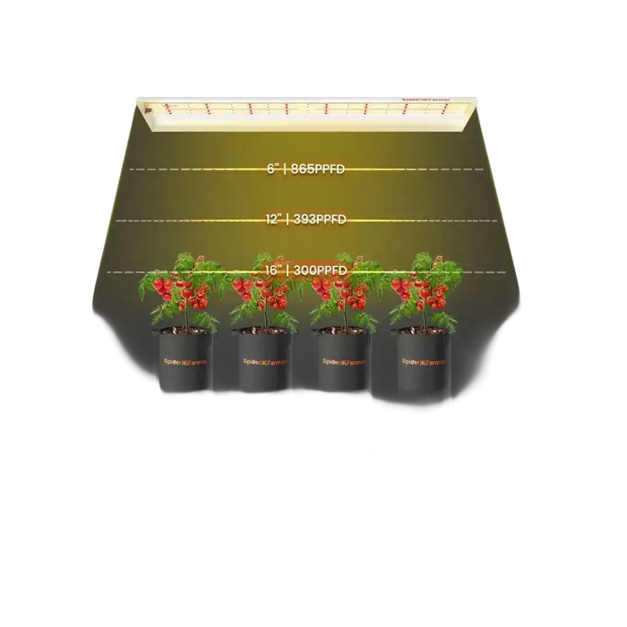 Spider Farmer SF300 LED-Zuchtlampe kaufen für optimales Pflanzenwachstum und hohe Ernteerträge