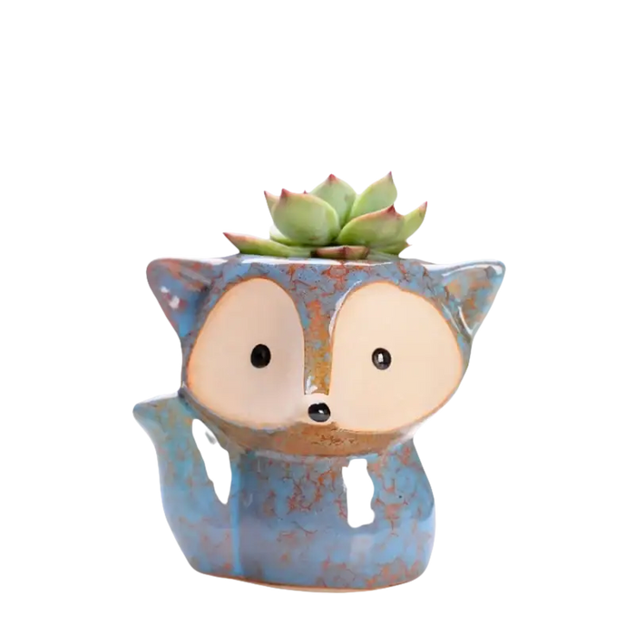 Sukkulenten-Pflanzgefäß ’Blue Fox’.